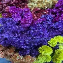 Untitled Project (47).webp