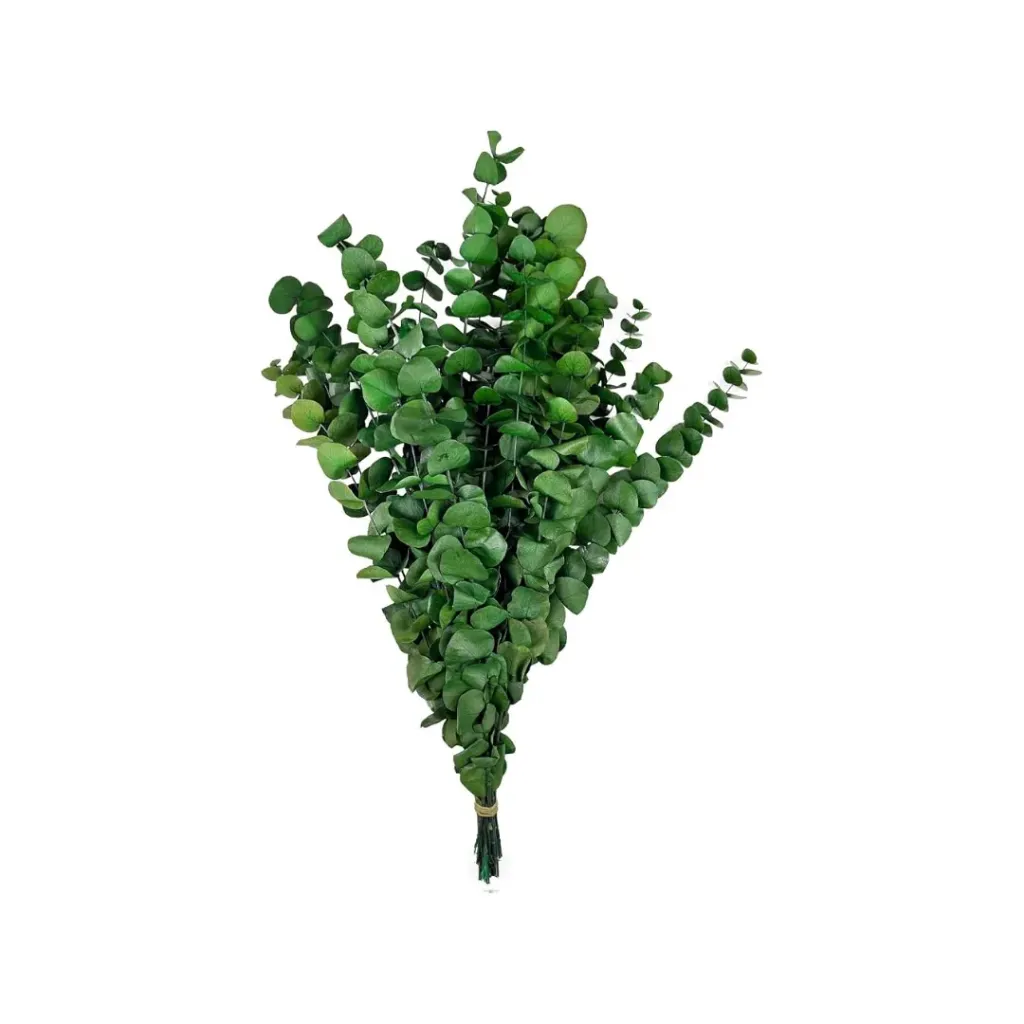 dollar verde
