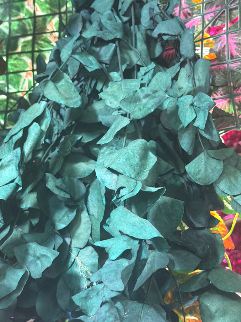 dollar verde