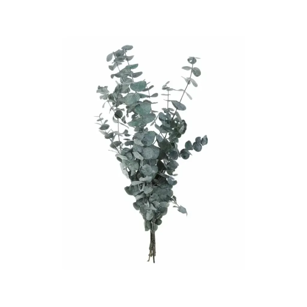 dollar verde cenizo