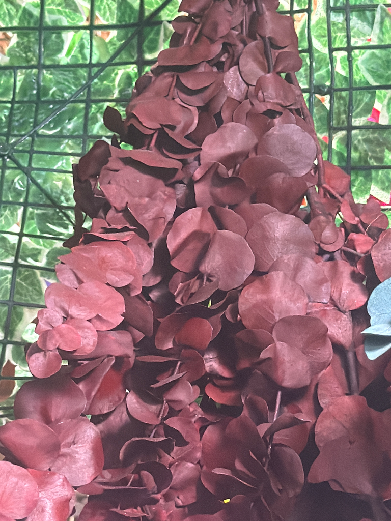 dollar rojo