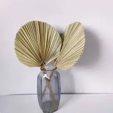 abanico grande 5pz
