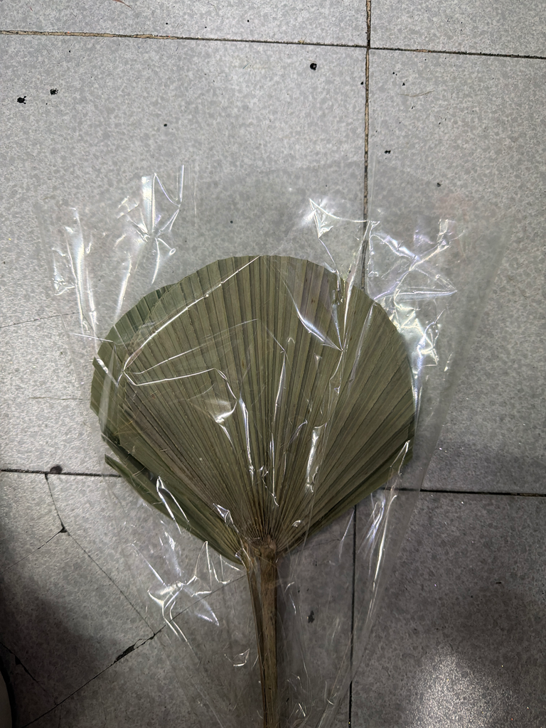 abanico mediano 5pz