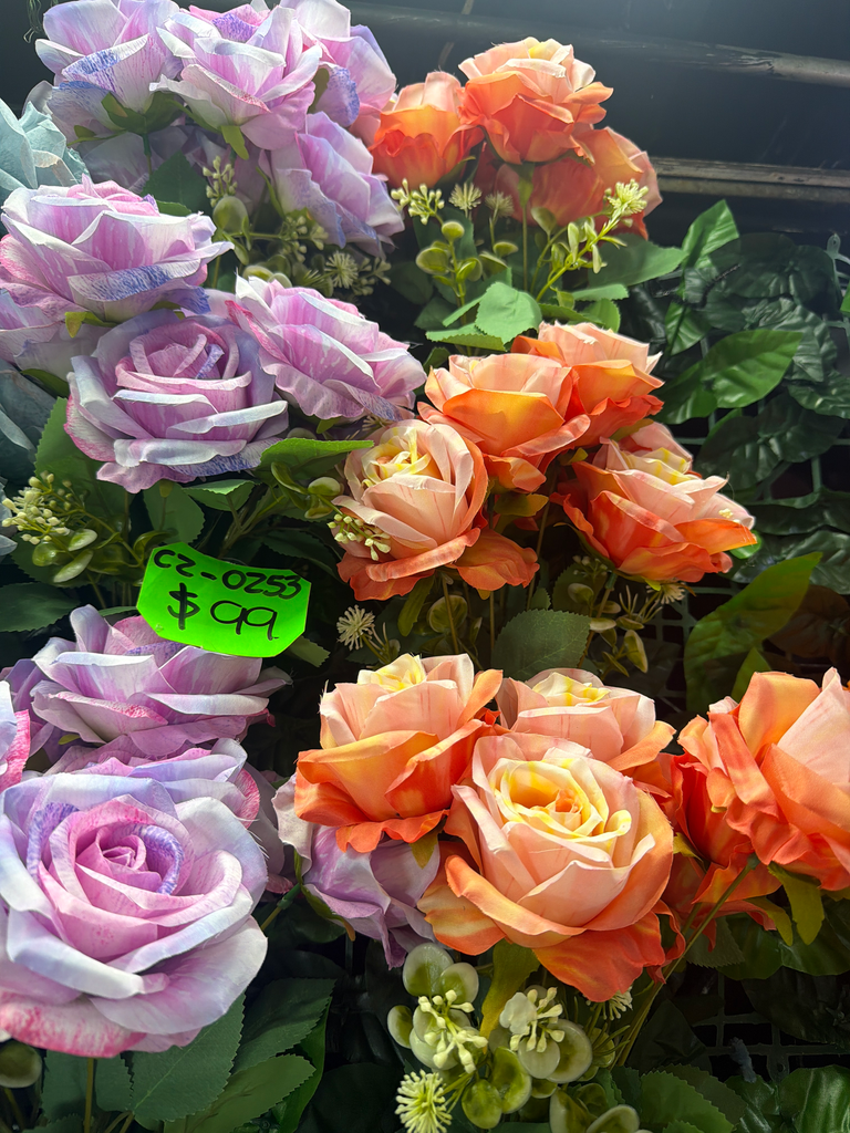 Rosas bicolor