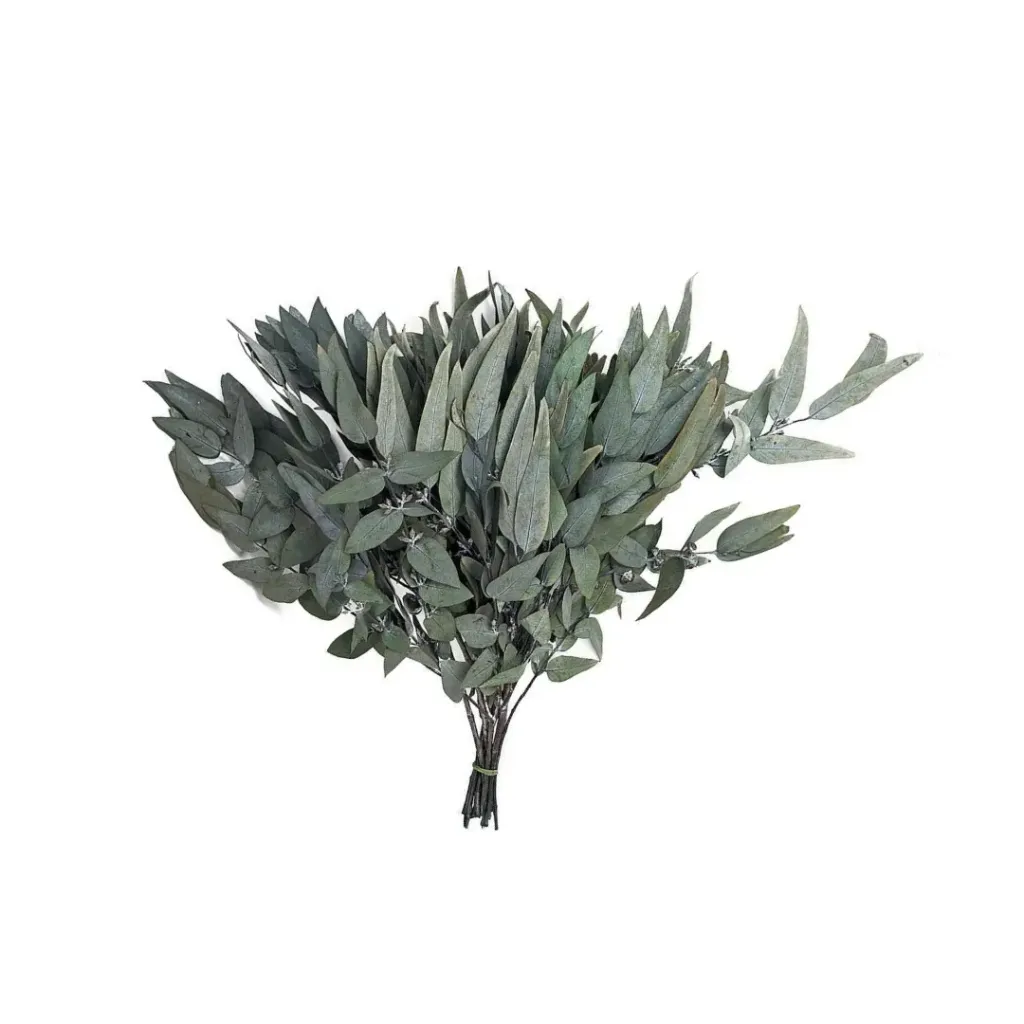 dollar de pico verde