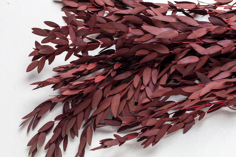 dollar de pico rojo