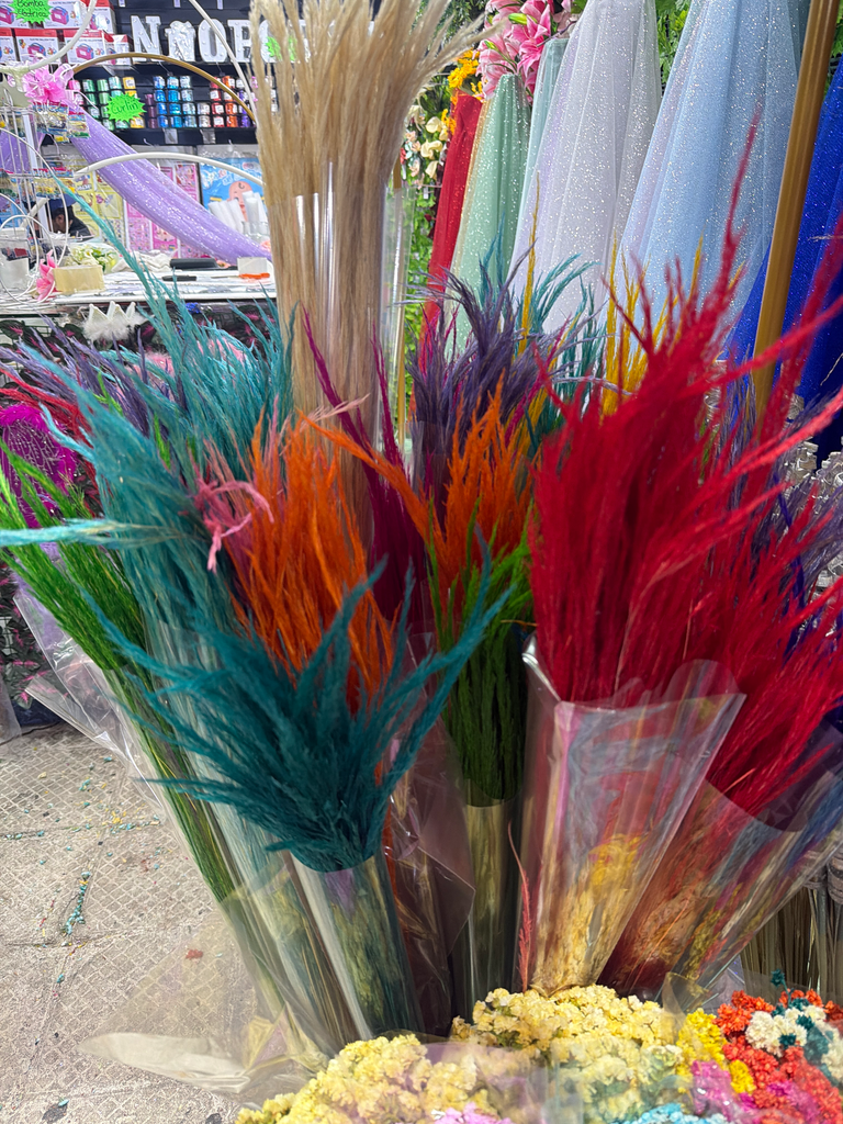 espiga de color